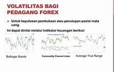 Risiko Volatilitas Adalah